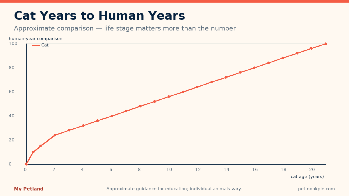 Line chart of the approximate human-age comparison for cats from six months through twenty-one years