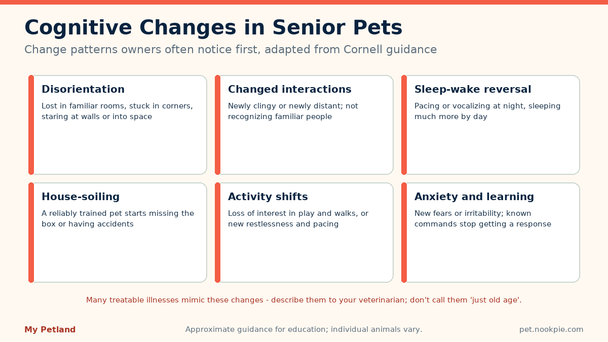 Six tiles describing cognitive change patterns owners notice in senior dogs and cats