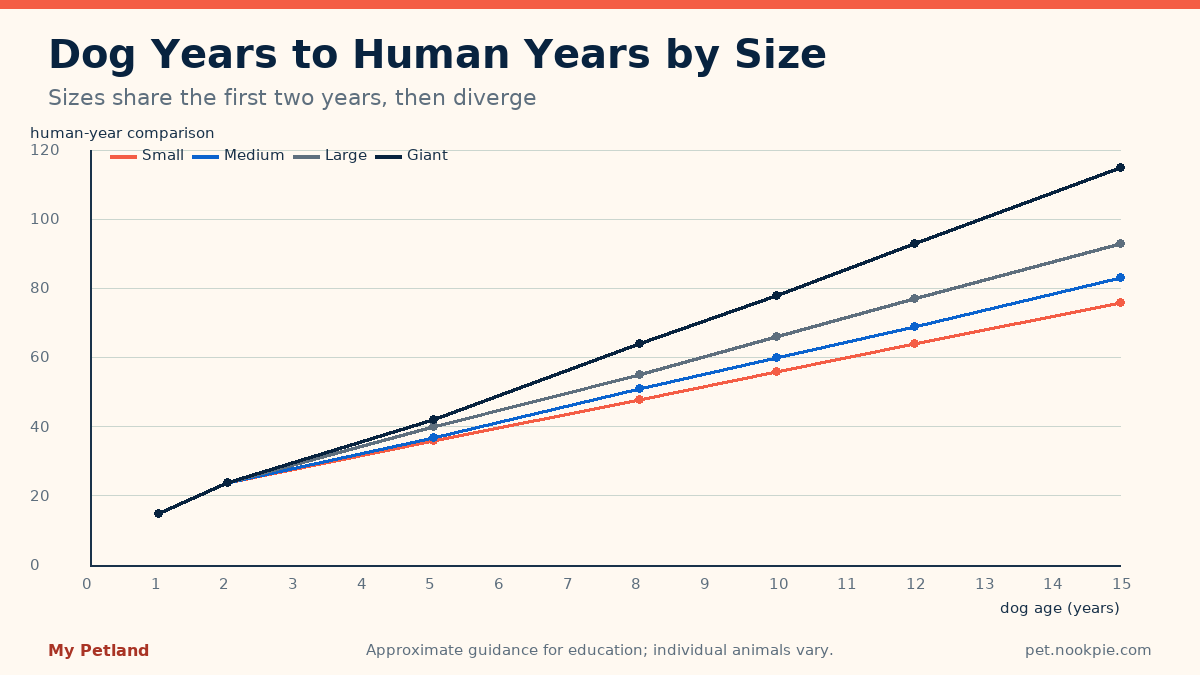 Line chart comparing dog years to human years for small, medium, large, and giant adult sizes