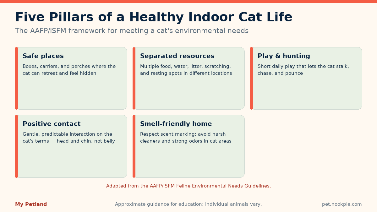 Five tiles describing the AAFP and ISFM five pillars of a healthy feline environment