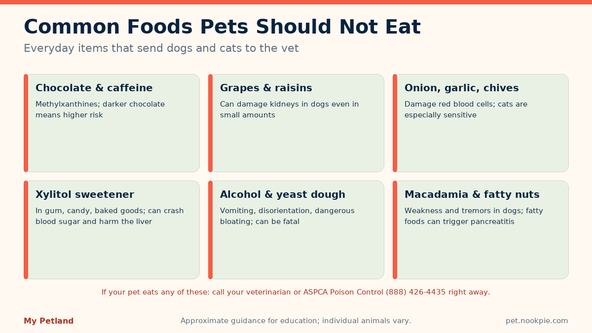Tile chart of six categories of common foods that dogs and cats should not eat