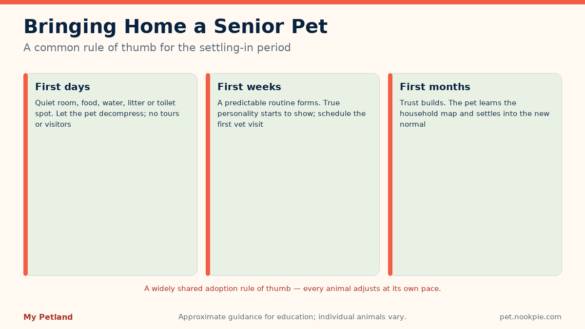 Three tiles describing the widely shared 3-3-3 adoption rule of thumb: three days, three weeks, three months